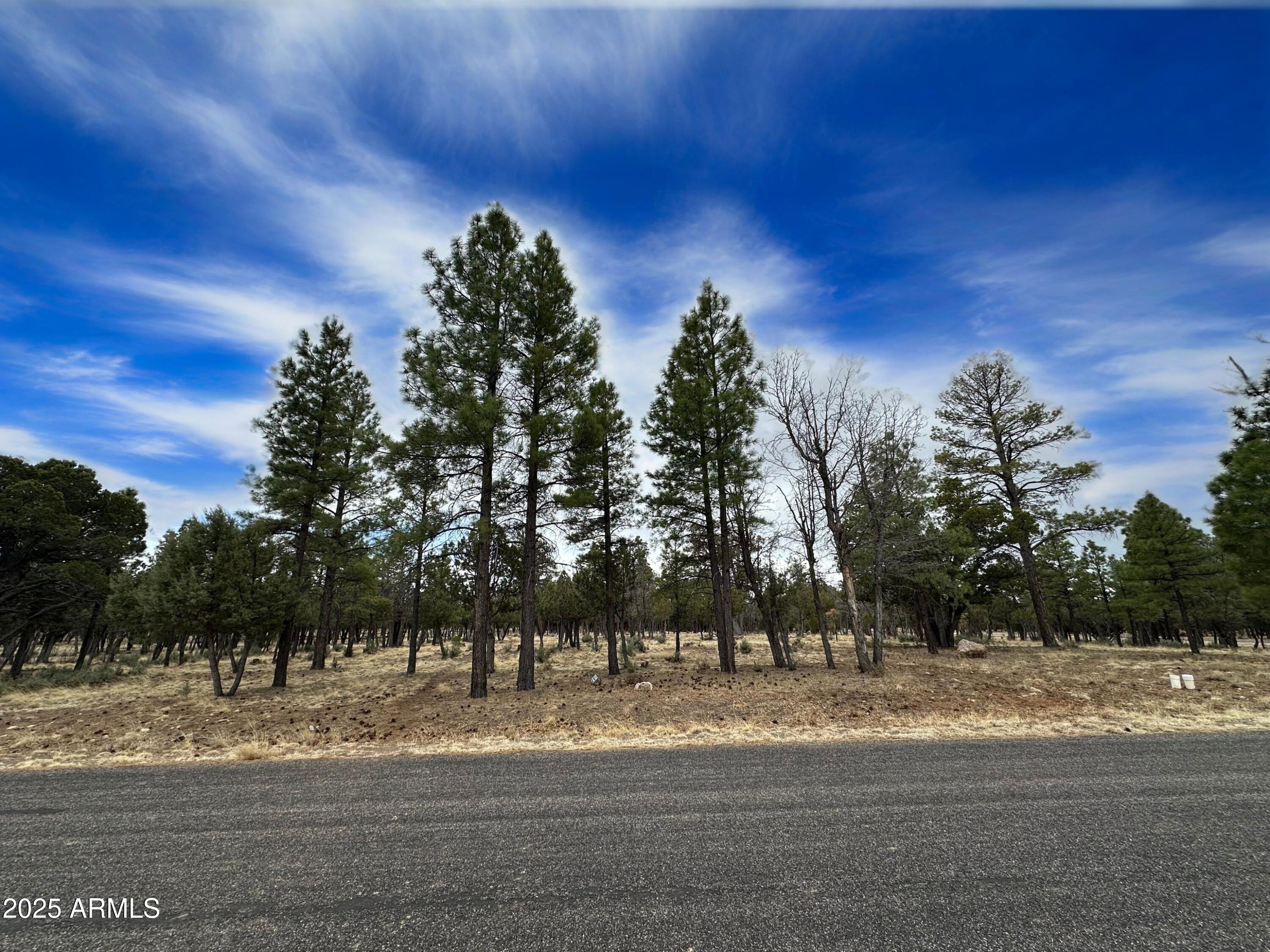 3431 DURANGO Drive 205