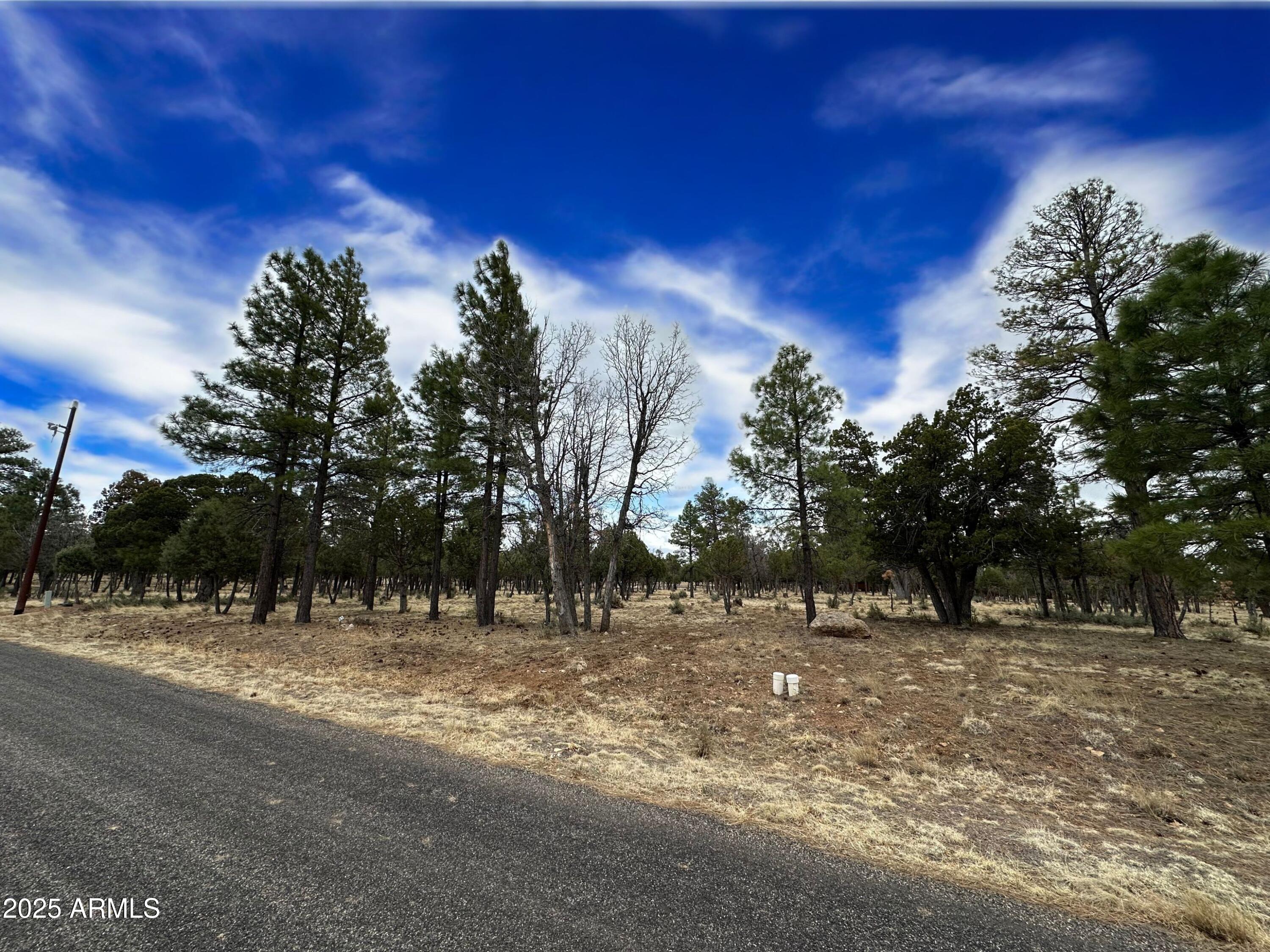 3431 DURANGO Drive 205