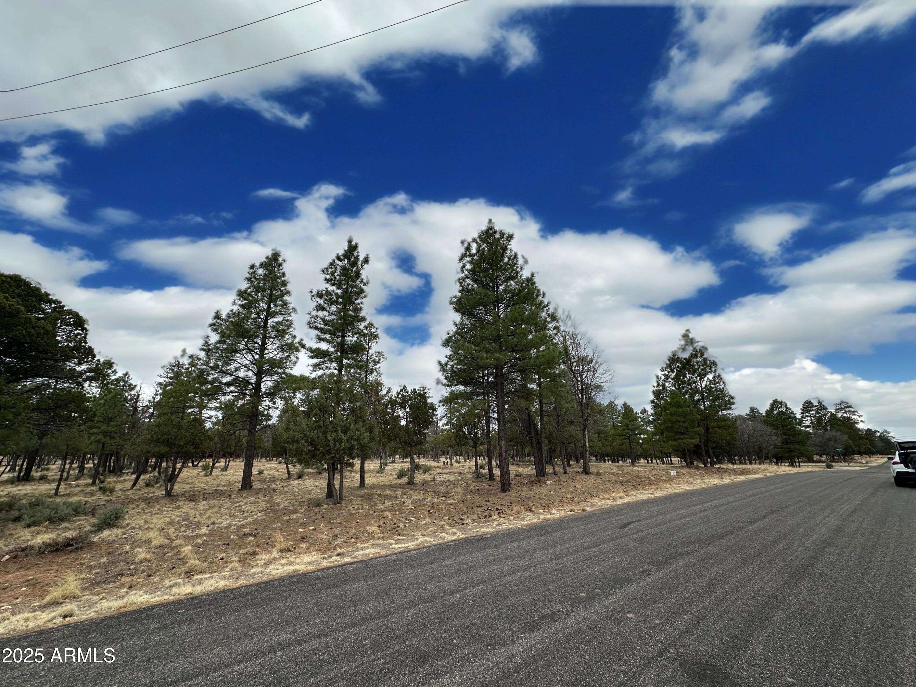 3431 DURANGO Drive 205