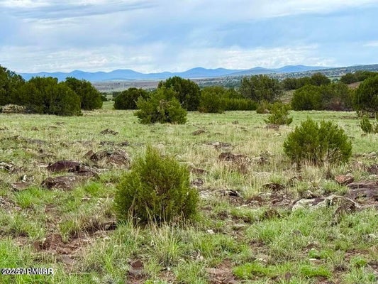 85 COUNTY RD 8128, CONCHO, AZ 85924 - Image 4df5c444cfde473a2a5e1448fc78c8e8/1396407938