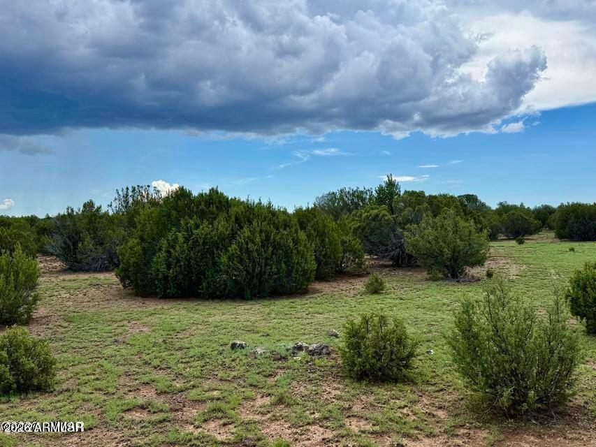85 Co Rd 8128 Lots 100, 101 & 108 3.33 -- -