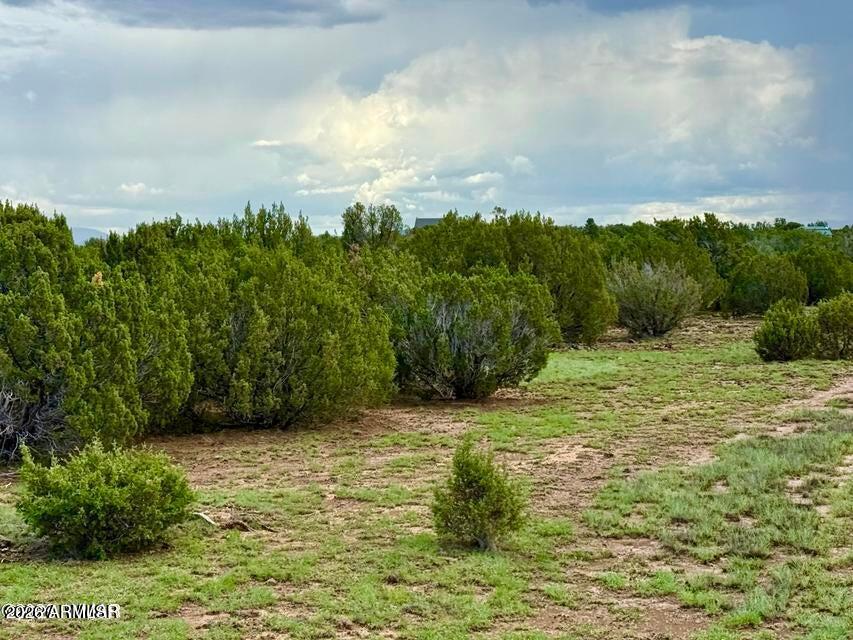 85 Co Rd 8128 Lots 100, 101 & 108 3.33 -- -