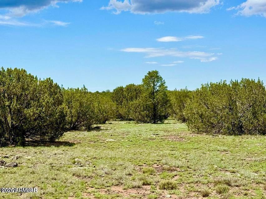 85 Co Rd 8128 Lots 100, 101 & 108 3.33 -- -