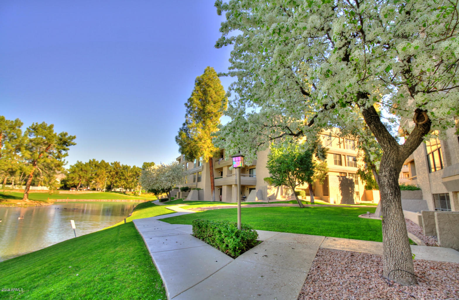 Phoenix, Arizona 85016, United States, 2 Bedrooms Bedrooms, ,2 BathroomsBathrooms,Residential,Active,205570