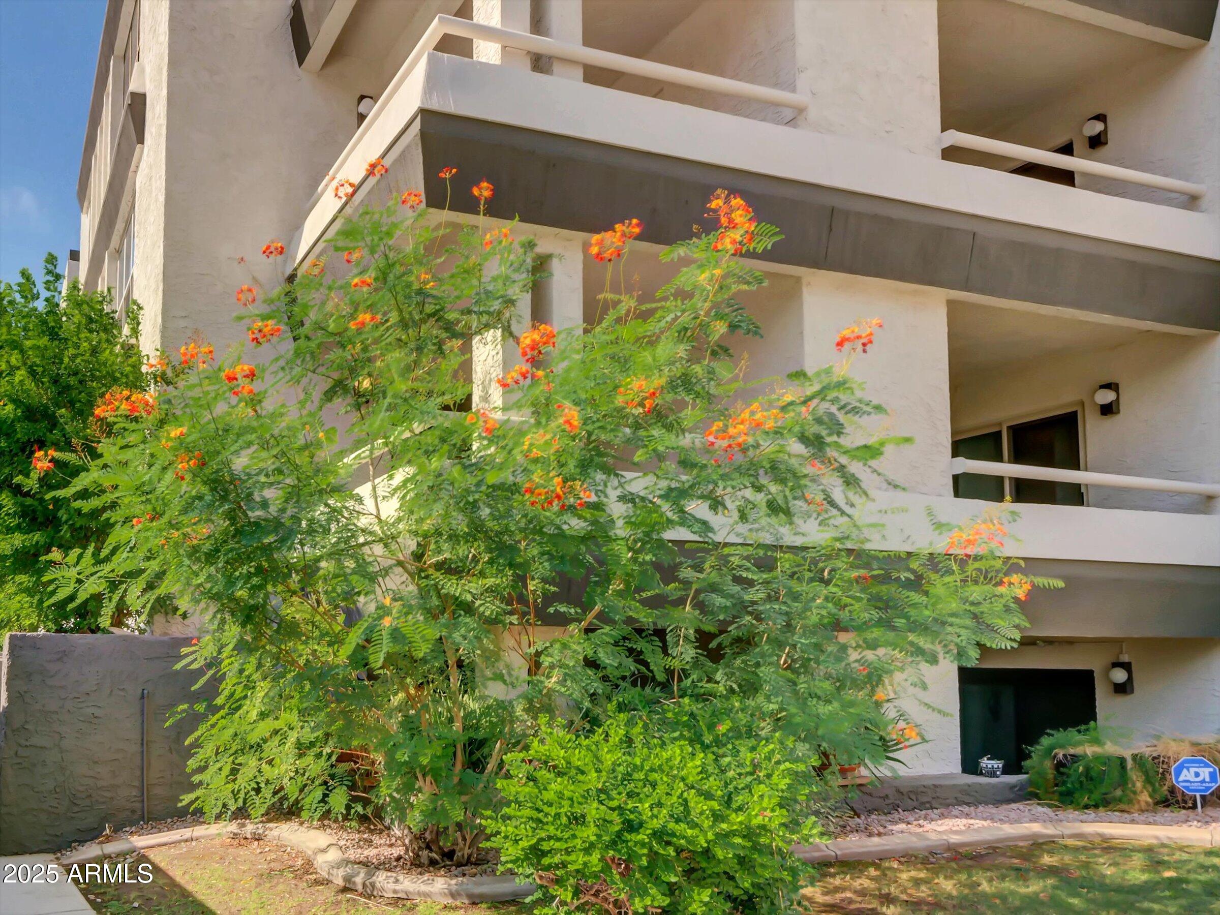 Phoenix, Arizona 85016, United States, 2 Bedrooms Bedrooms, ,2 BathroomsBathrooms,Residential,Active,205570