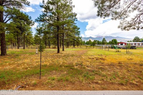 A home in Flagstaff