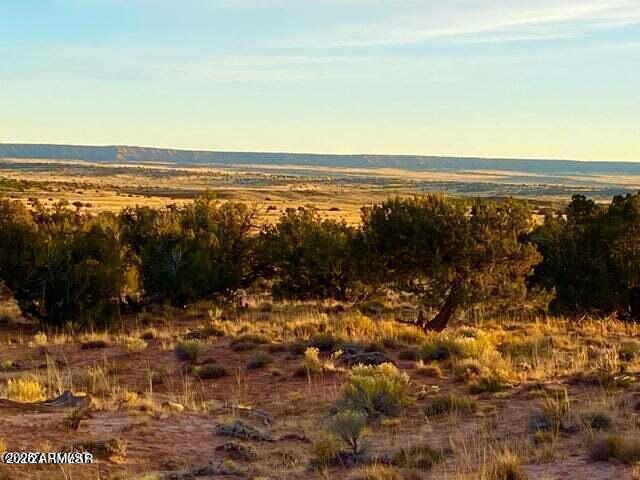 TBD Sanders 255 Acres -- -