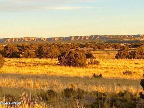 TBD Sanders 255 Acres -- - Sanders AZ 86512