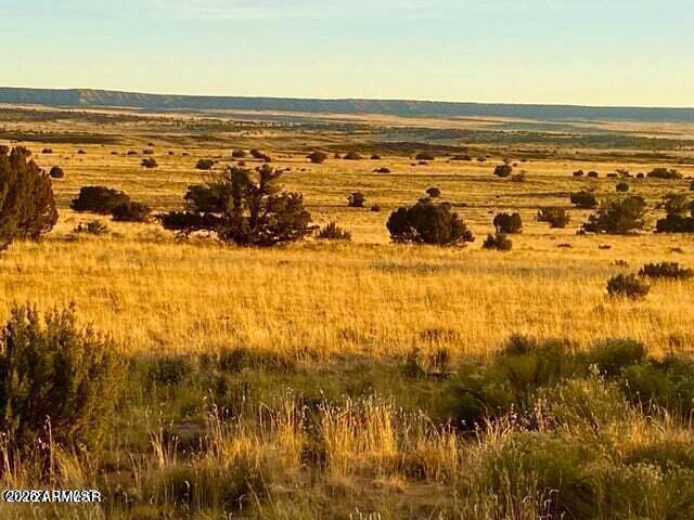 TBD Sanders 255 Acres -- -