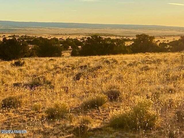TBD Sanders 255 Acres -- -