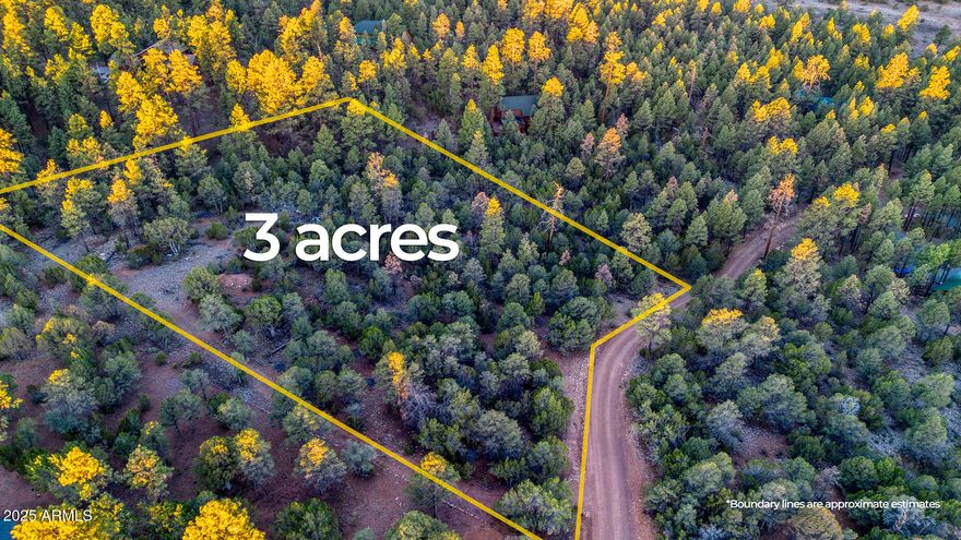 A rare opportunity to own a 3-acre heavily treed lot in the cool pines of Overgaard, Arizona, perfectly suited for your custom mountain dream home.
The lot is blanketed with mature pines, creating a peaceful, forested atmosphere with ample space for building while still preserving your privacy.

Located just minutes from the prestigious Mogollon Airpark, this property is ideal for aviation enthusiasts or those seeking easy fly-in access to their high-country retreat. This homesite offers flexibility for building, whether you're planning a rustic cabin or a luxury lodge-style residence. Most utilities available at the lot line and grading has already been completed!

Don't miss this chance to own one of the finest custom home lots in Overgaard!