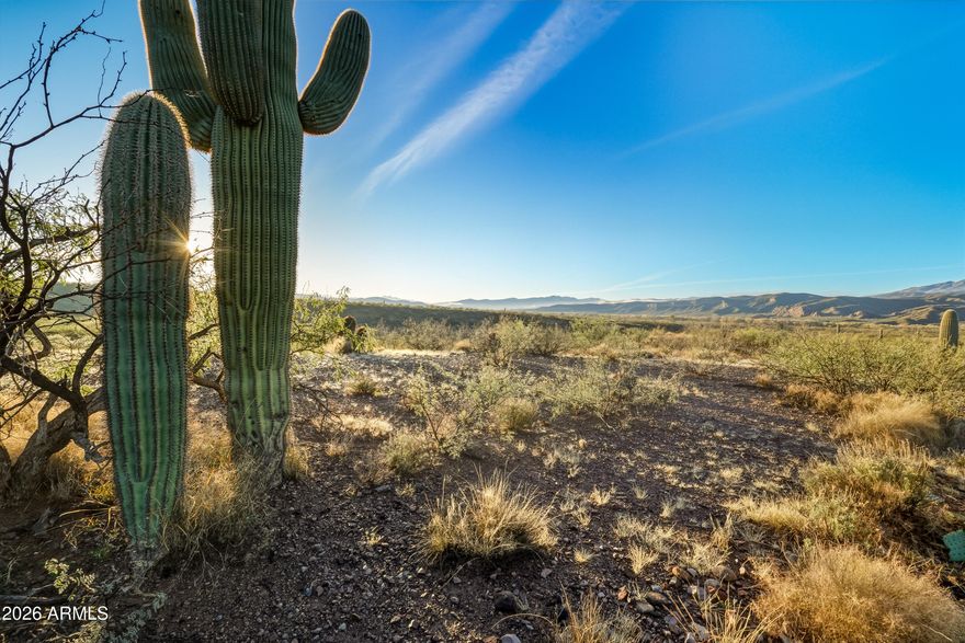 Spanning 36.165 acres, this stunning desert parcel offers wide-open space, privacy, and breathtaking mountain views in every direction. The land is beautifully dotted with iconic saguaro cacti and native desert vegetation, showcasing the natural beauty of the Sonoran landscape. Enjoy peaceful surroundings, dramatic sunsets, and endless potential for a custom home, retreat, or investment. A rare opportunity to own a large acreage property with unobstructed views and authentic Arizona desert charm.