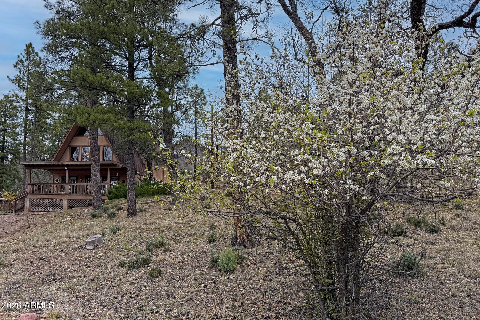 Ponderosa Springs - Residential