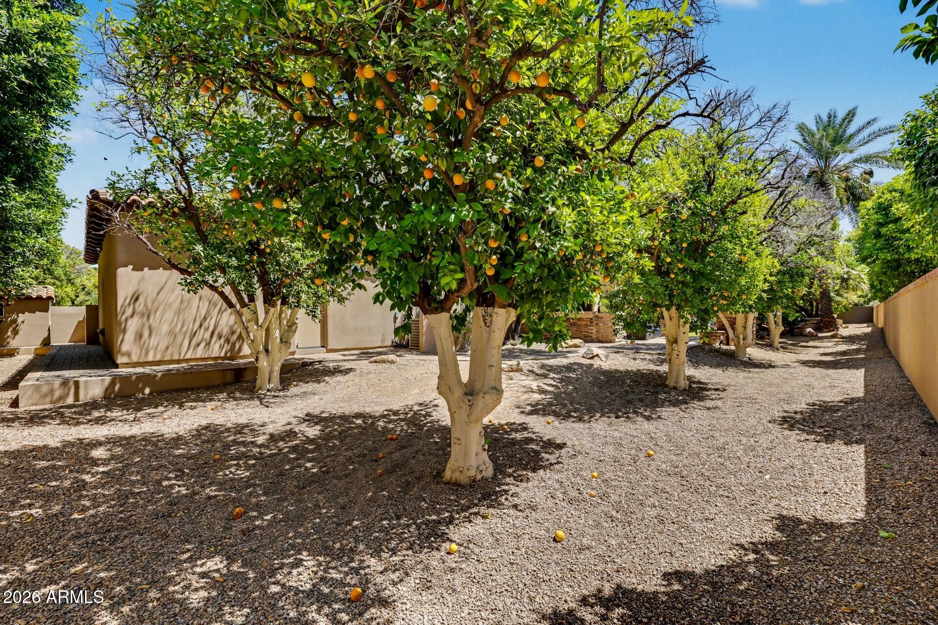 VISTA ESTANCIA - Residential