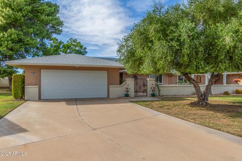 9885 W Spanish Moss Court Sun City AZ 85373