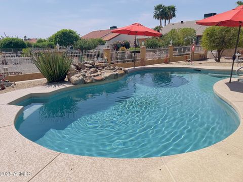 18409 N ZEPHYR Court Sun City West AZ 85375