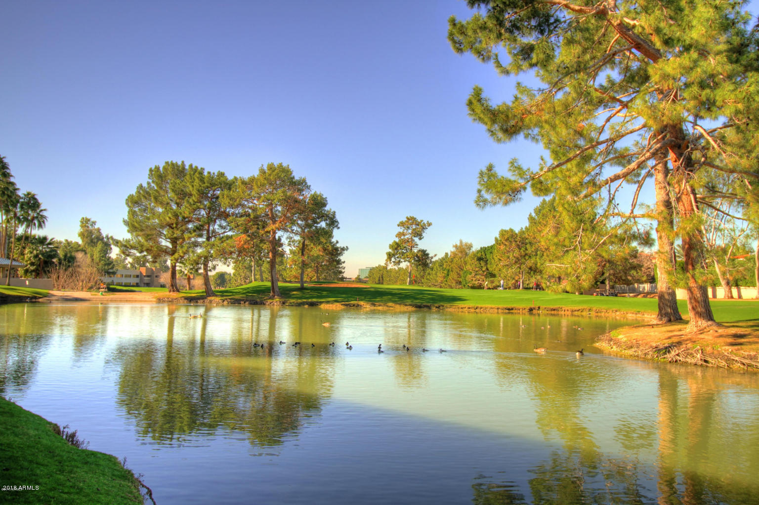 Phoenix, Arizona 85016, United States, 2 Bedrooms Bedrooms, ,2 BathroomsBathrooms,Residential,Active,92181