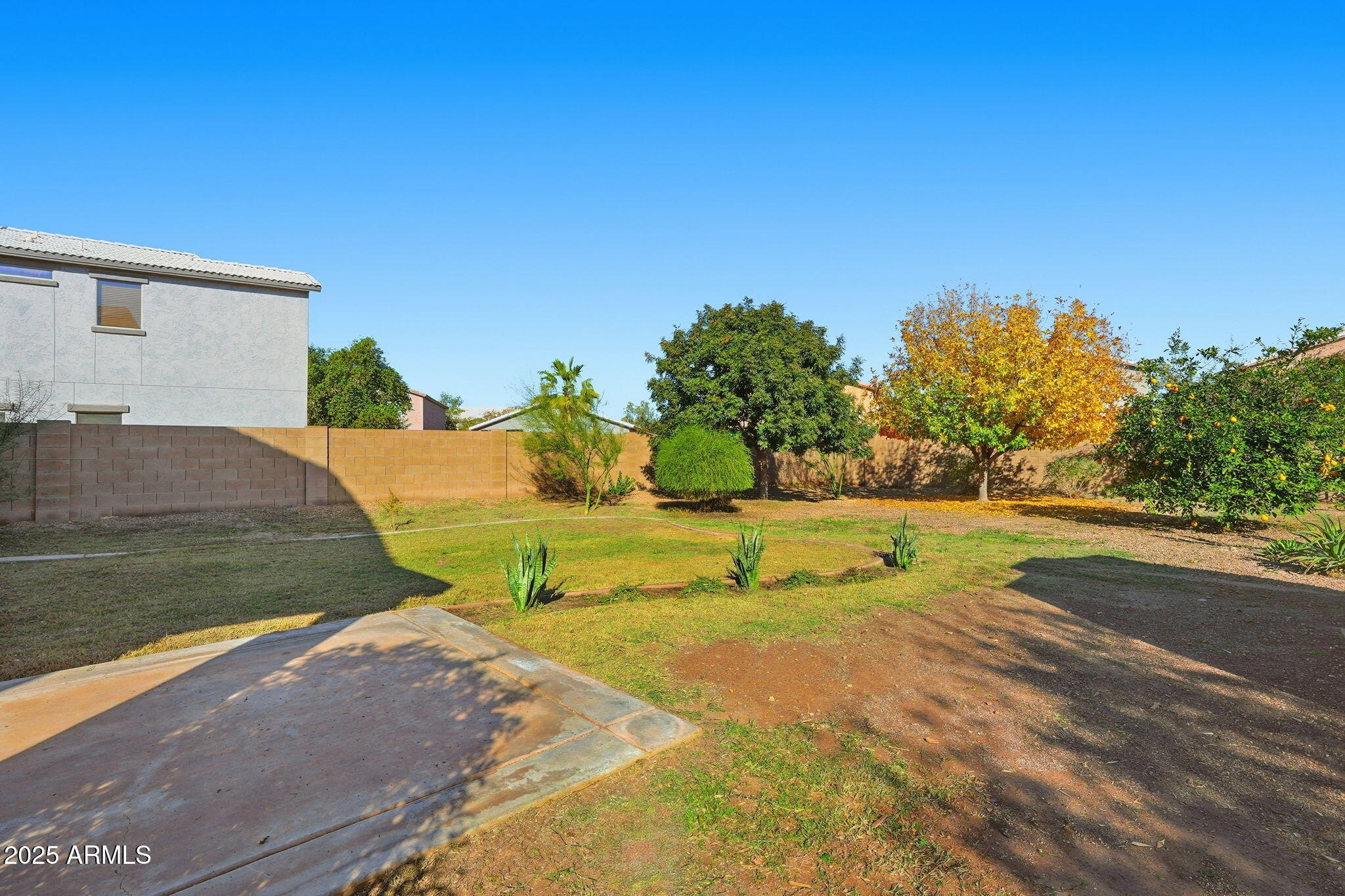 198 E MULE TRAIN Trail