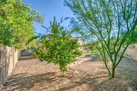 A home in Chandler