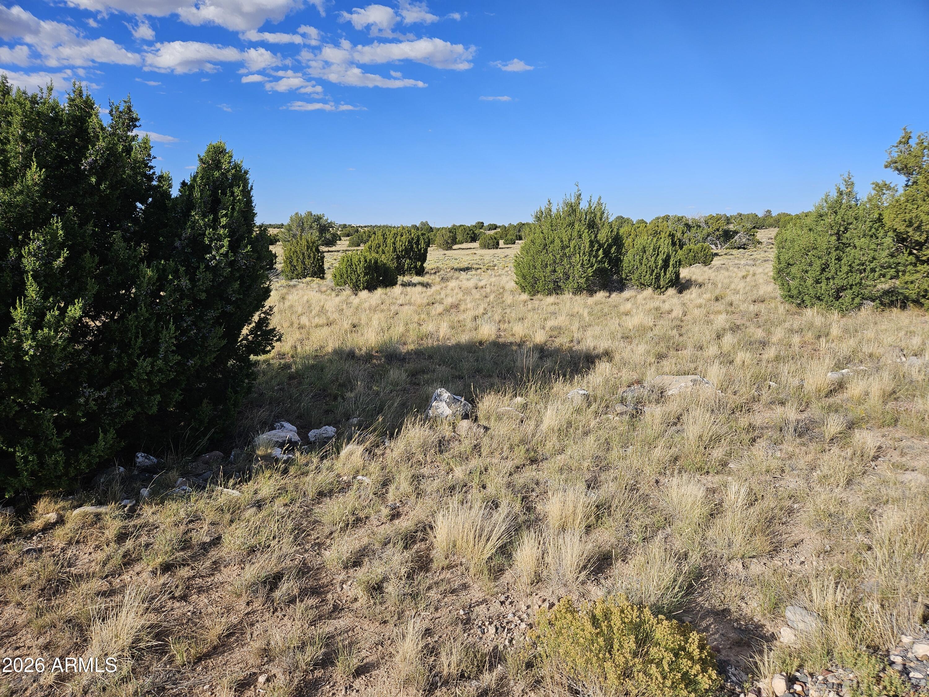 WINDSOR VALLEY RANCH PHASE 1 - Land