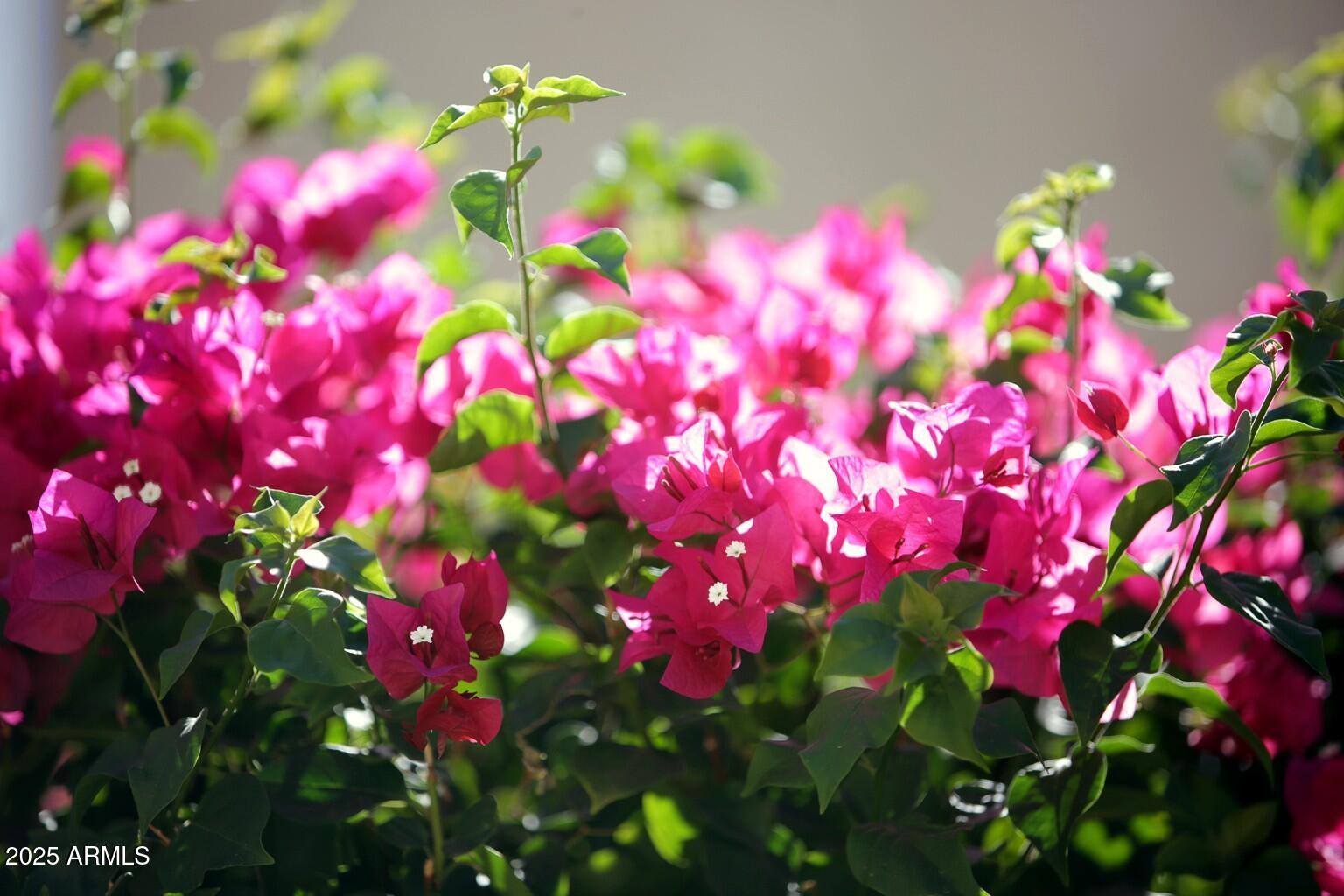 7054 W PONTIAC Drive