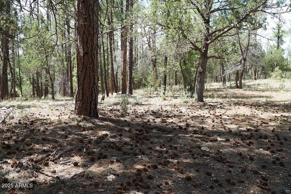 283 S LOOKOUT Trail 44