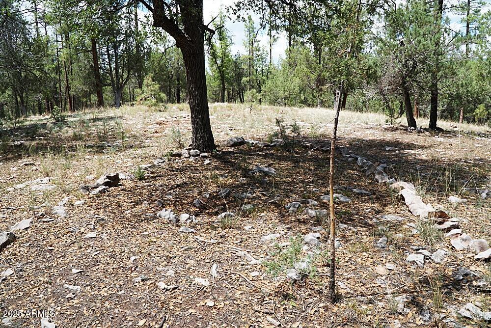 283 S LOOKOUT Trail 44