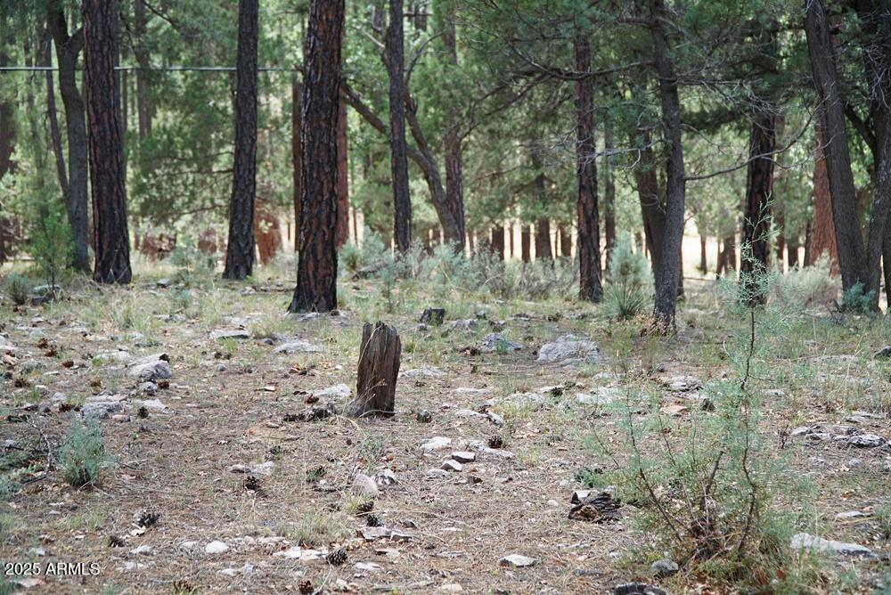 283 S LOOKOUT Trail 44