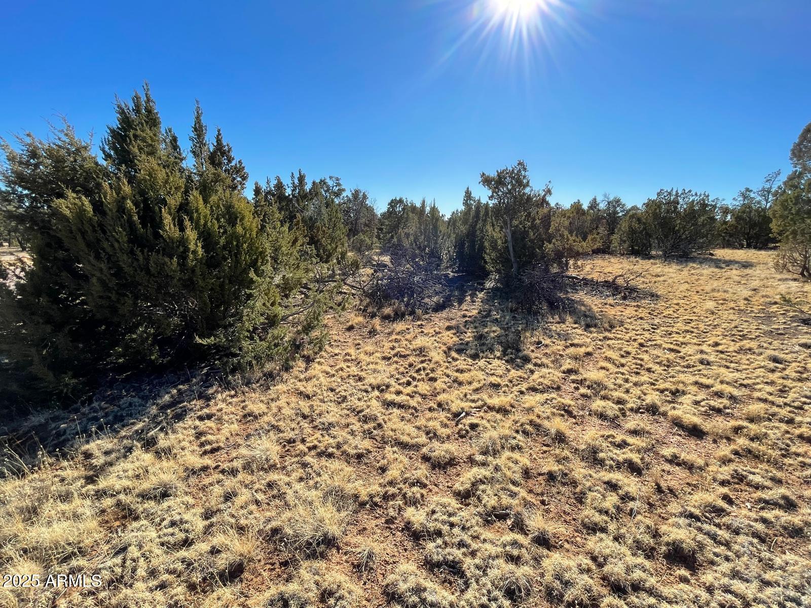 MOGOLLON RANCH 2 - Land