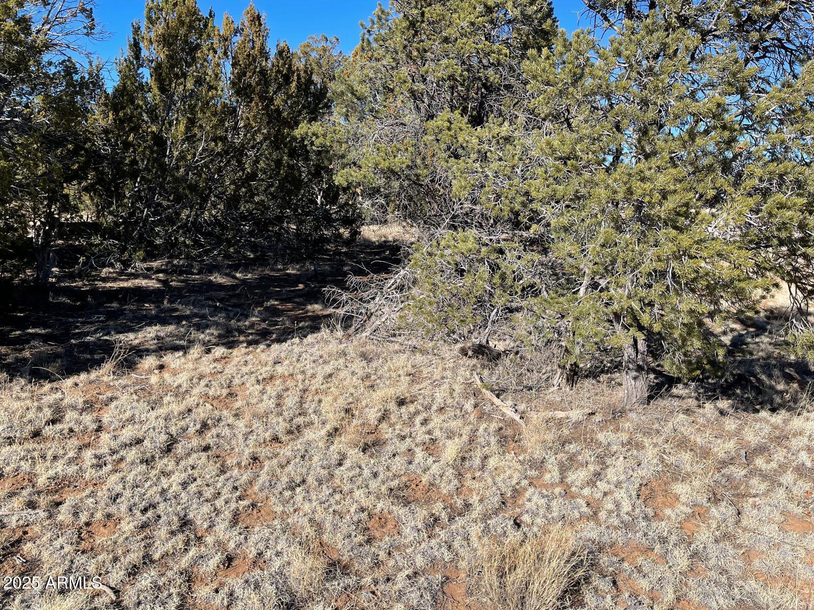 8371 HAVEN CREST Drive 230