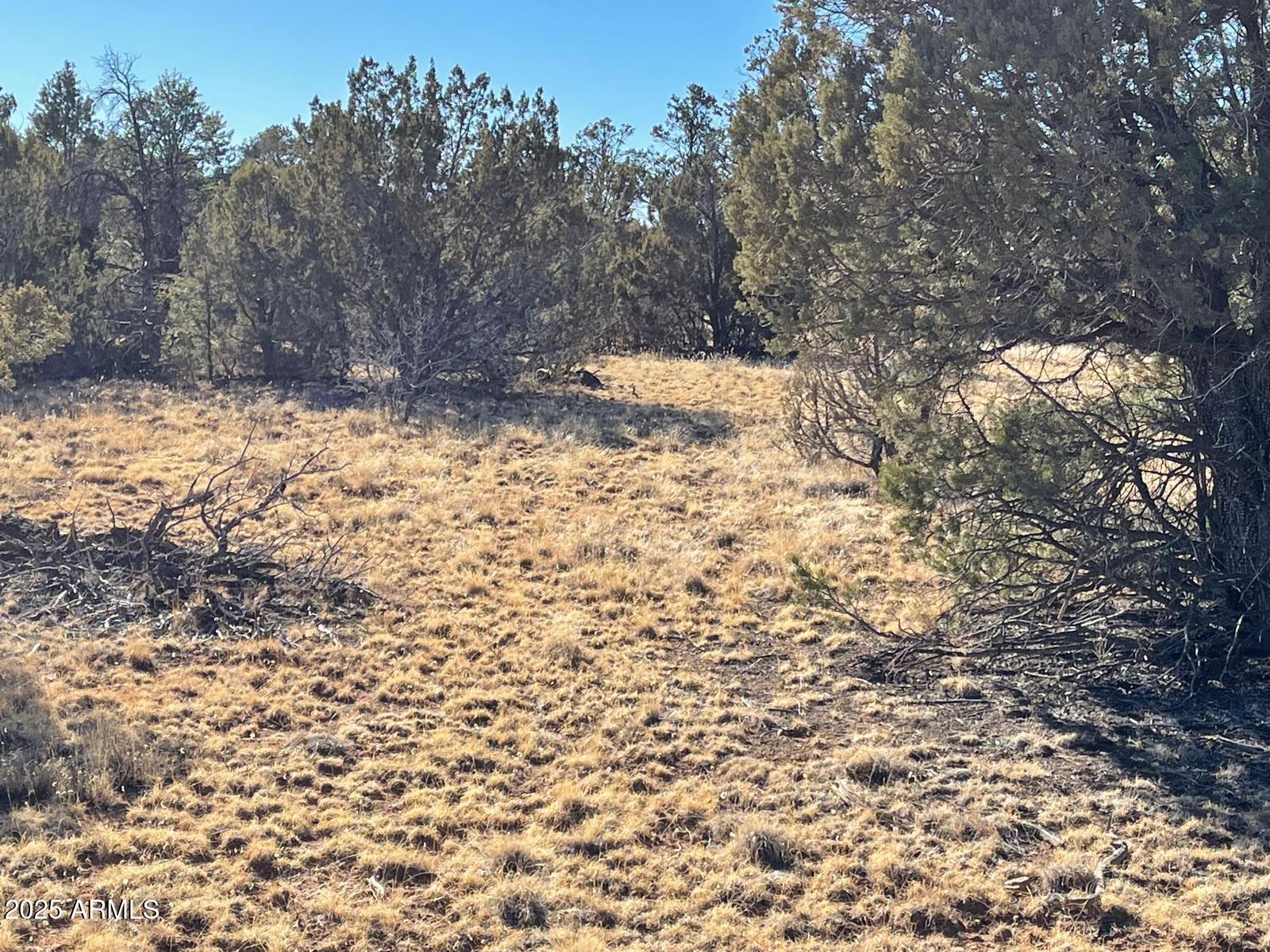 8371 HAVEN CREST Drive 230