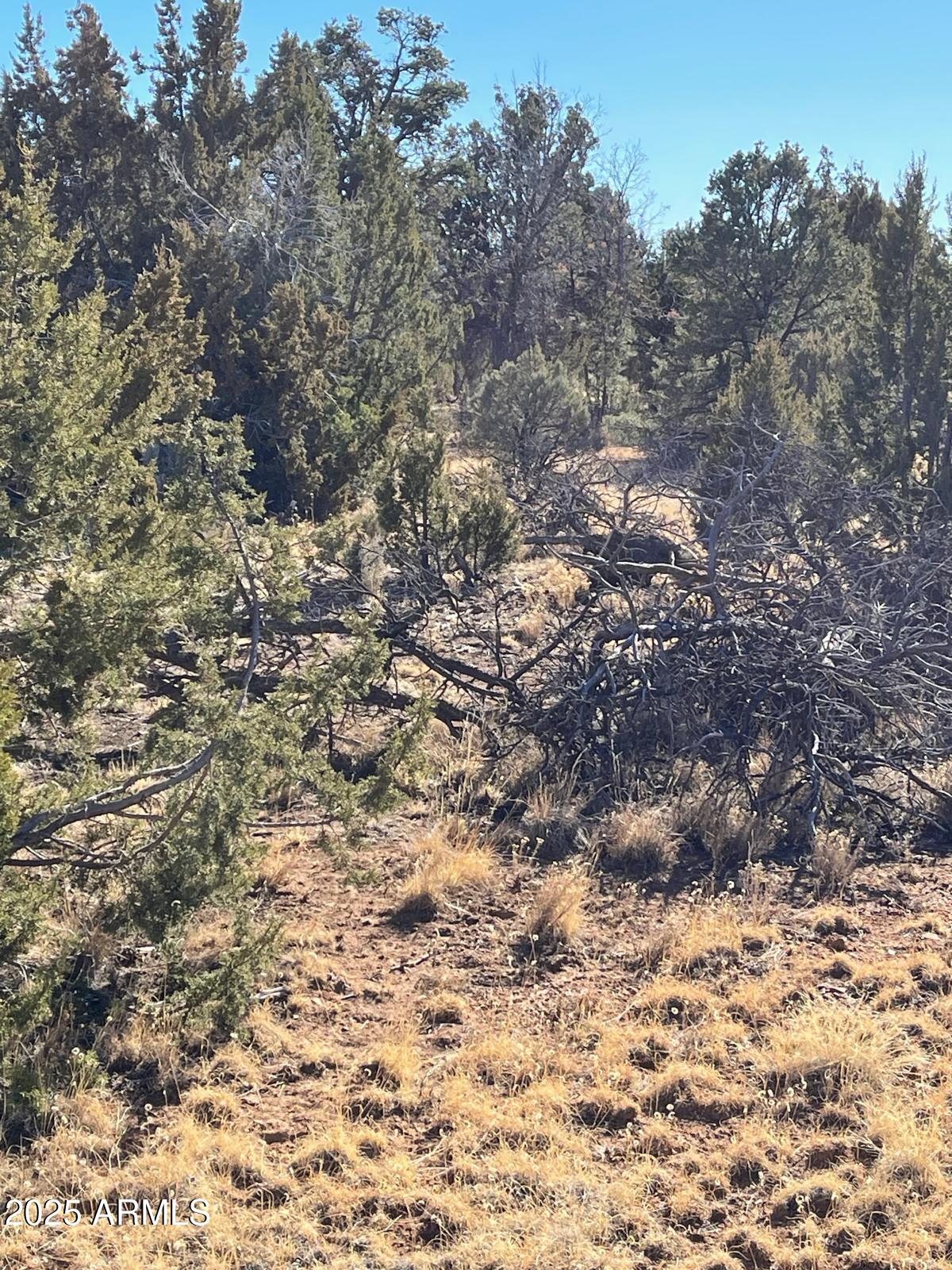 8371 HAVEN CREST Drive 230