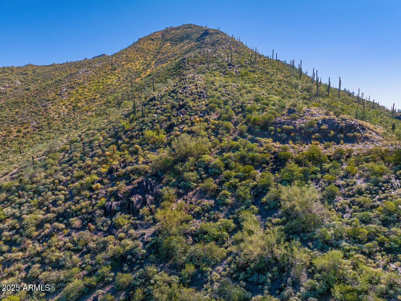 The Heights at Black Mountain - Land
