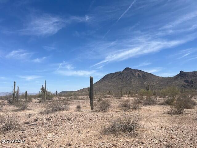 NNEC 391st W Mountain View Road -