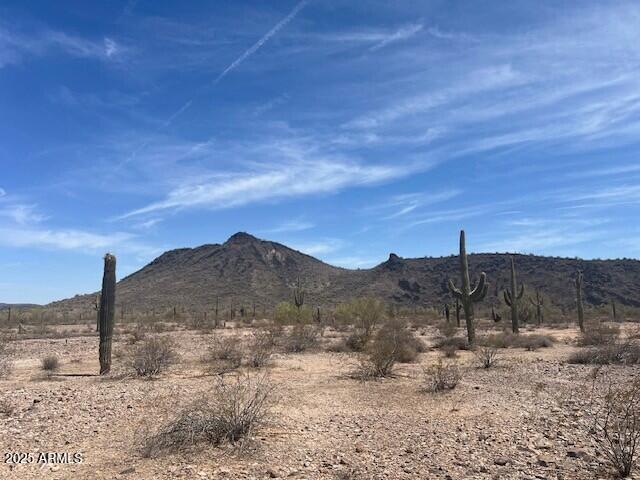 NNEC 391st W Mountain View Road -