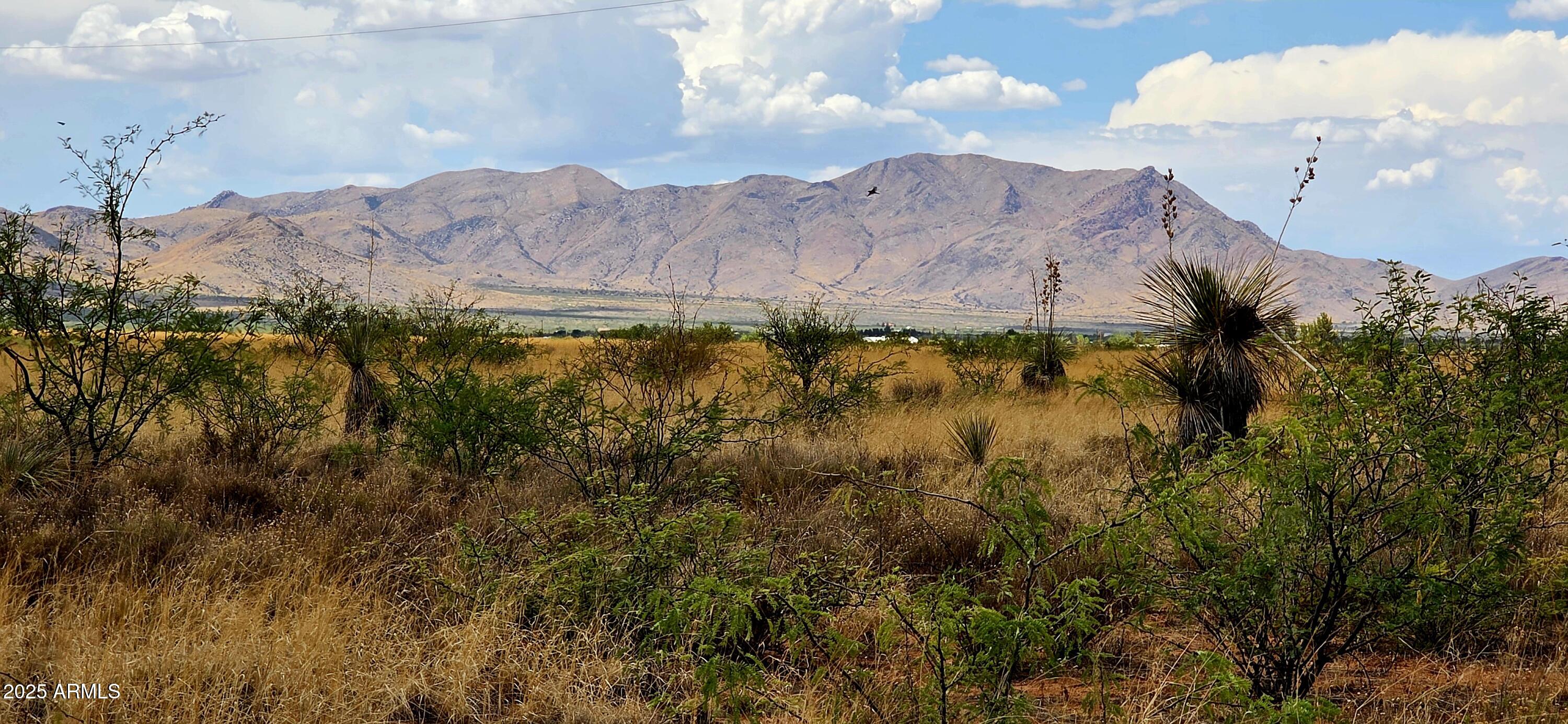 Lot 1 Willcox Road 1