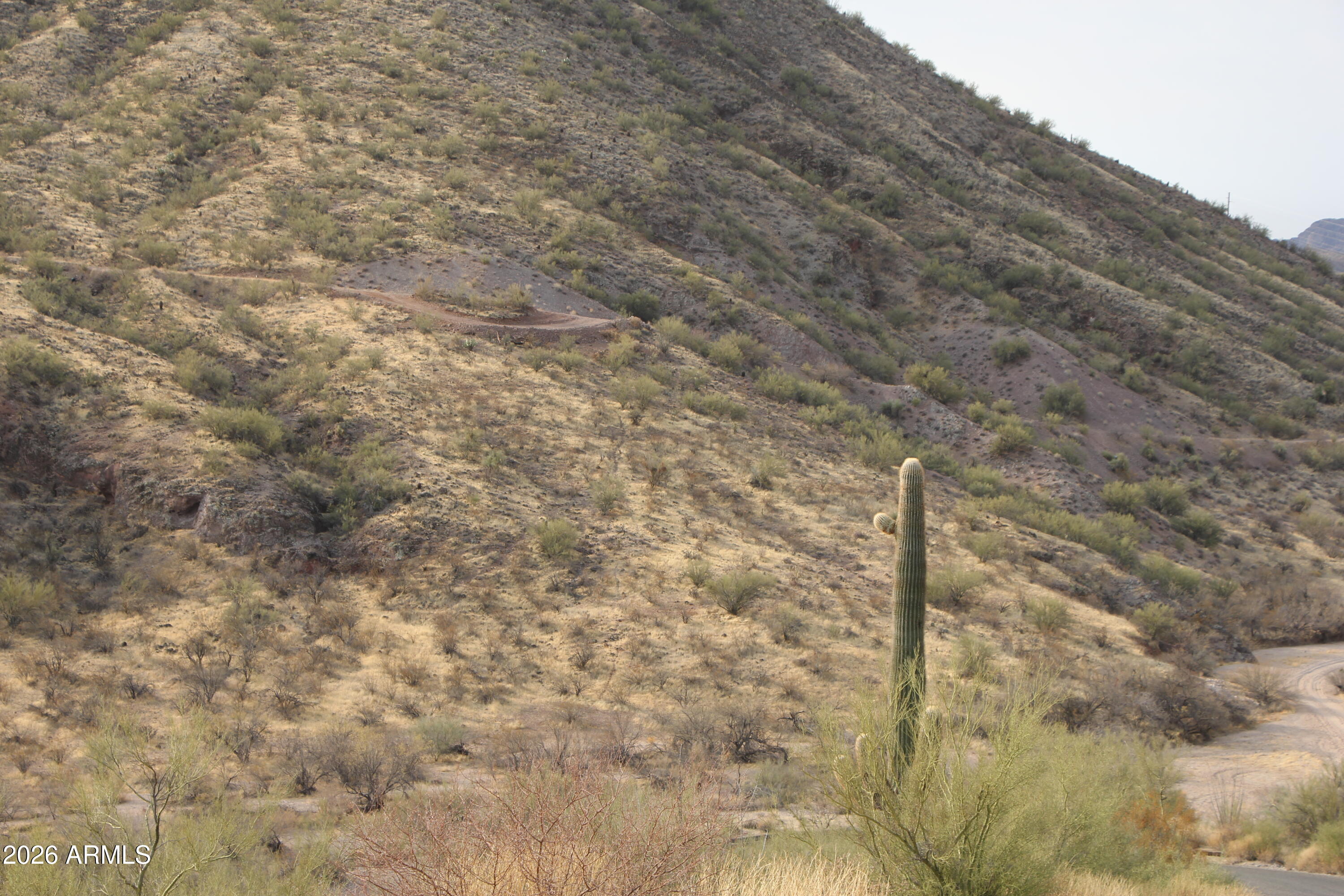 TURTLEBACK MOUNTAIN RANCH - Land
