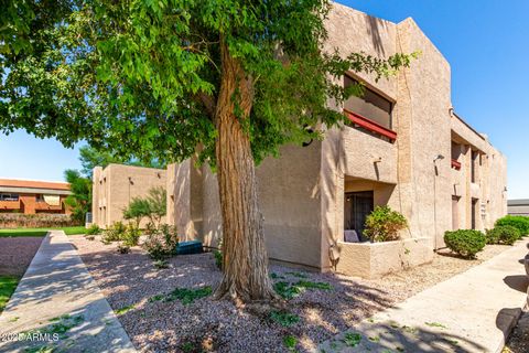 3131 W COCHISE Drive 229 Phoenix AZ 85051