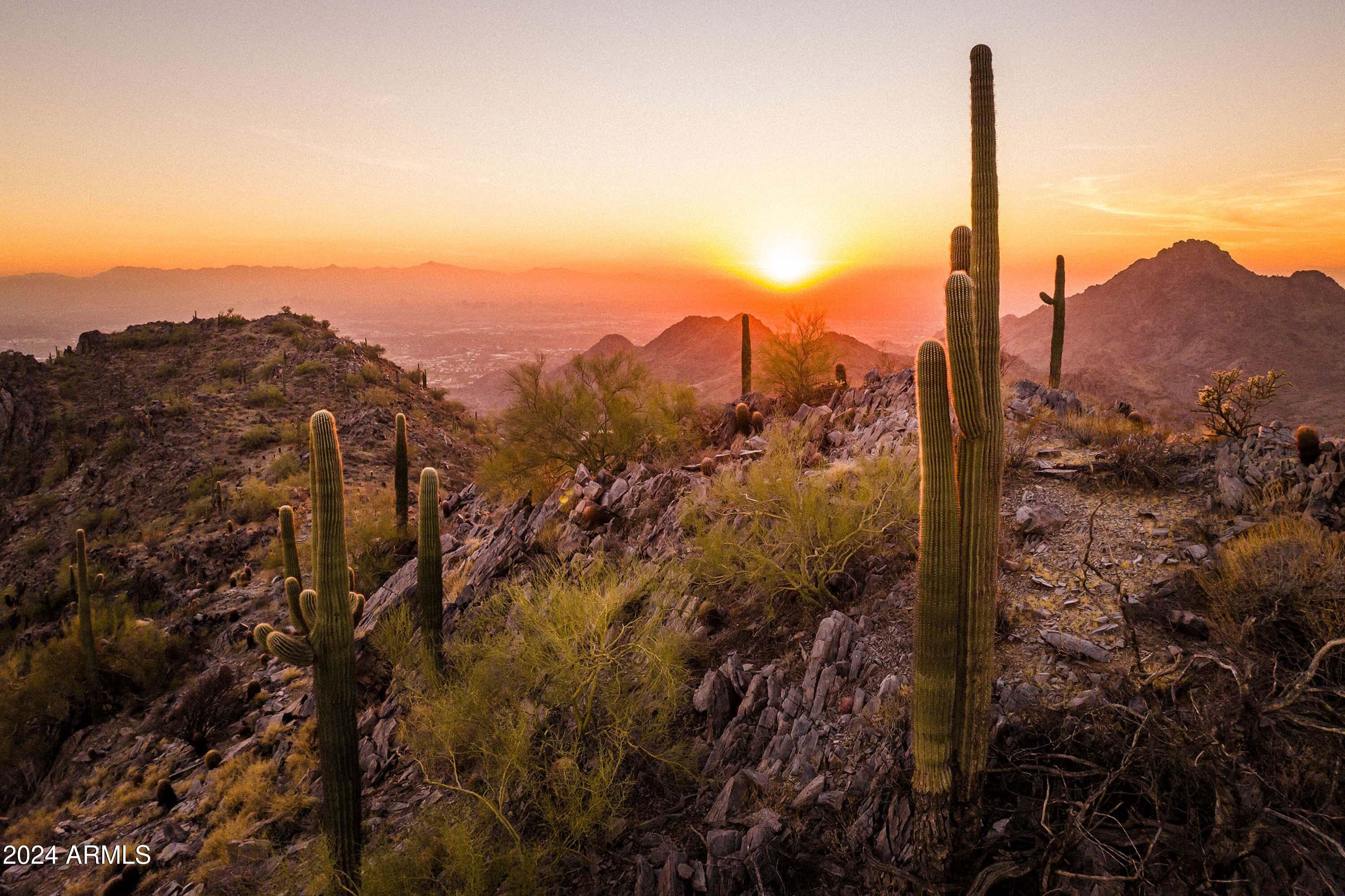 CLEARWATER HILLS 2 LOT 202 and Lot 205 - Land
