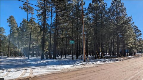 1960 MERRYLAND Road 233 & 234 Forest Lakes AZ 85931