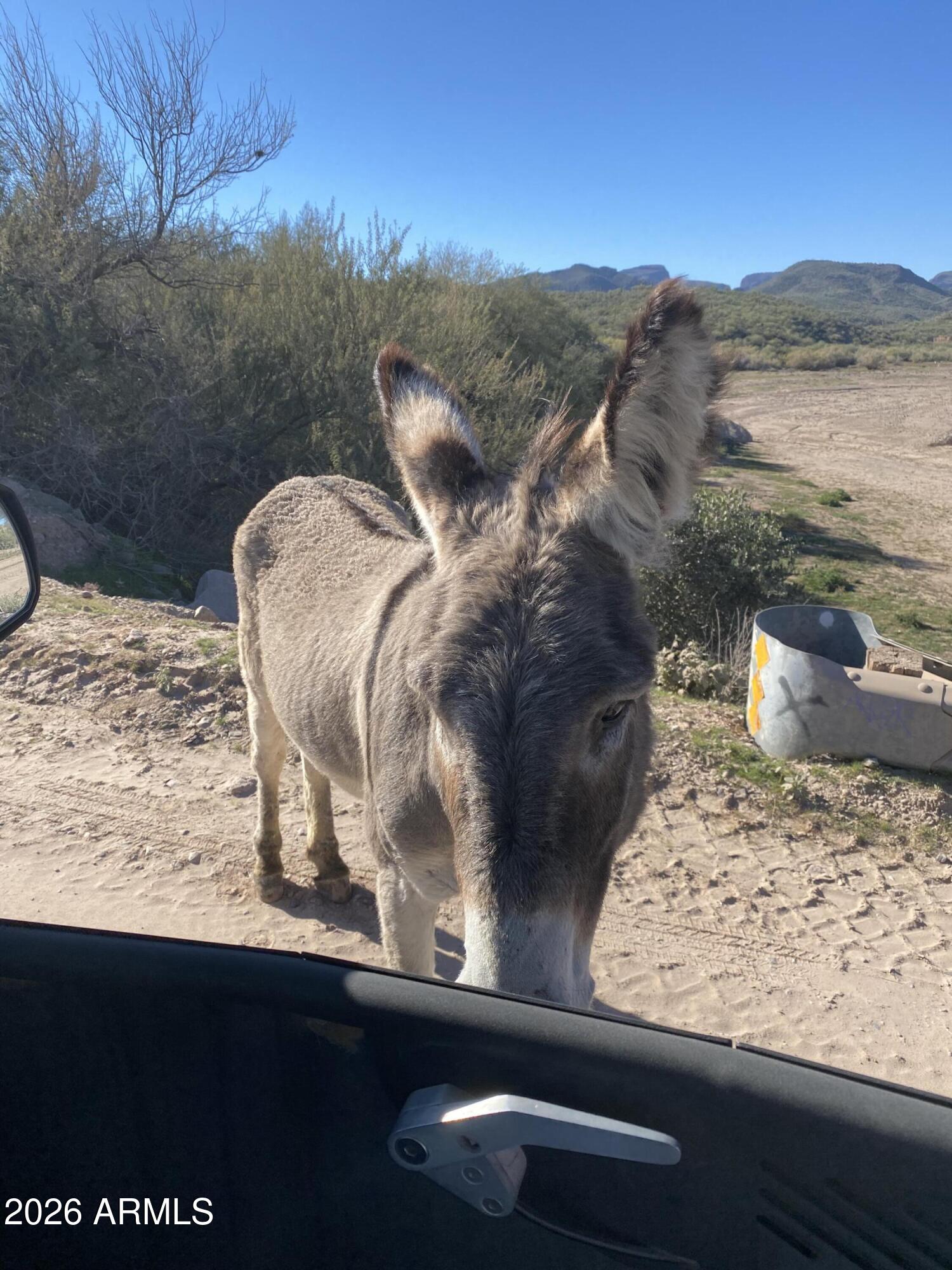 XX000 E Gods View Drive Parcel C