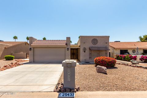 25437 S TRURO Drive Sun Lakes AZ 85248