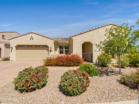 22126 E ROSA Road Queen Creek AZ 85142