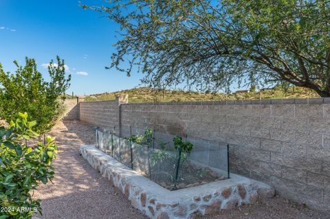 A home in Gold Canyon