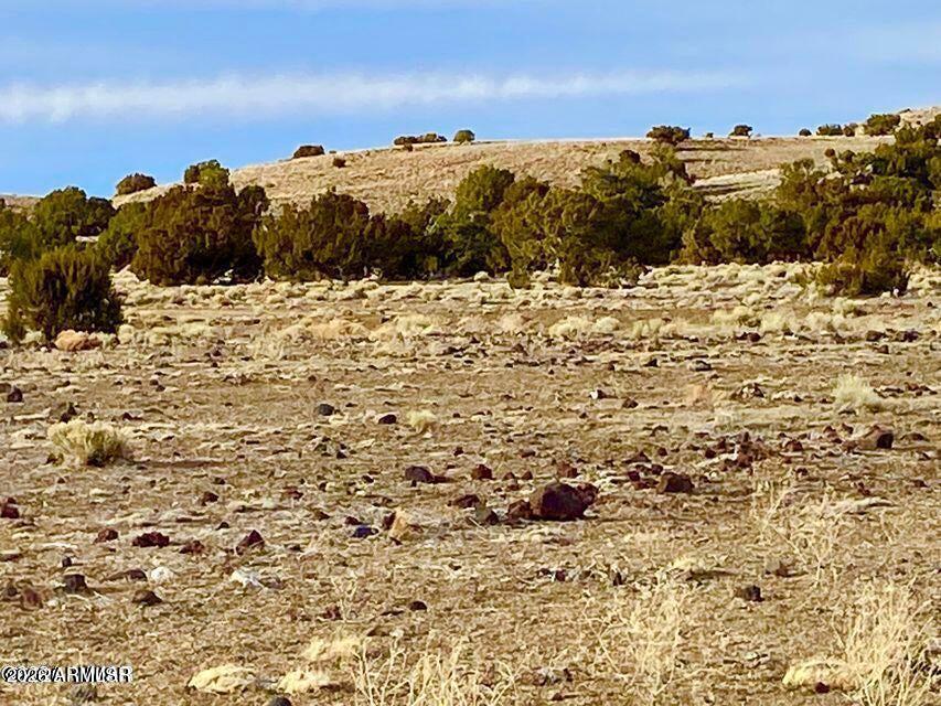 TBD Co Rd 5150  1.22 Acres -- -