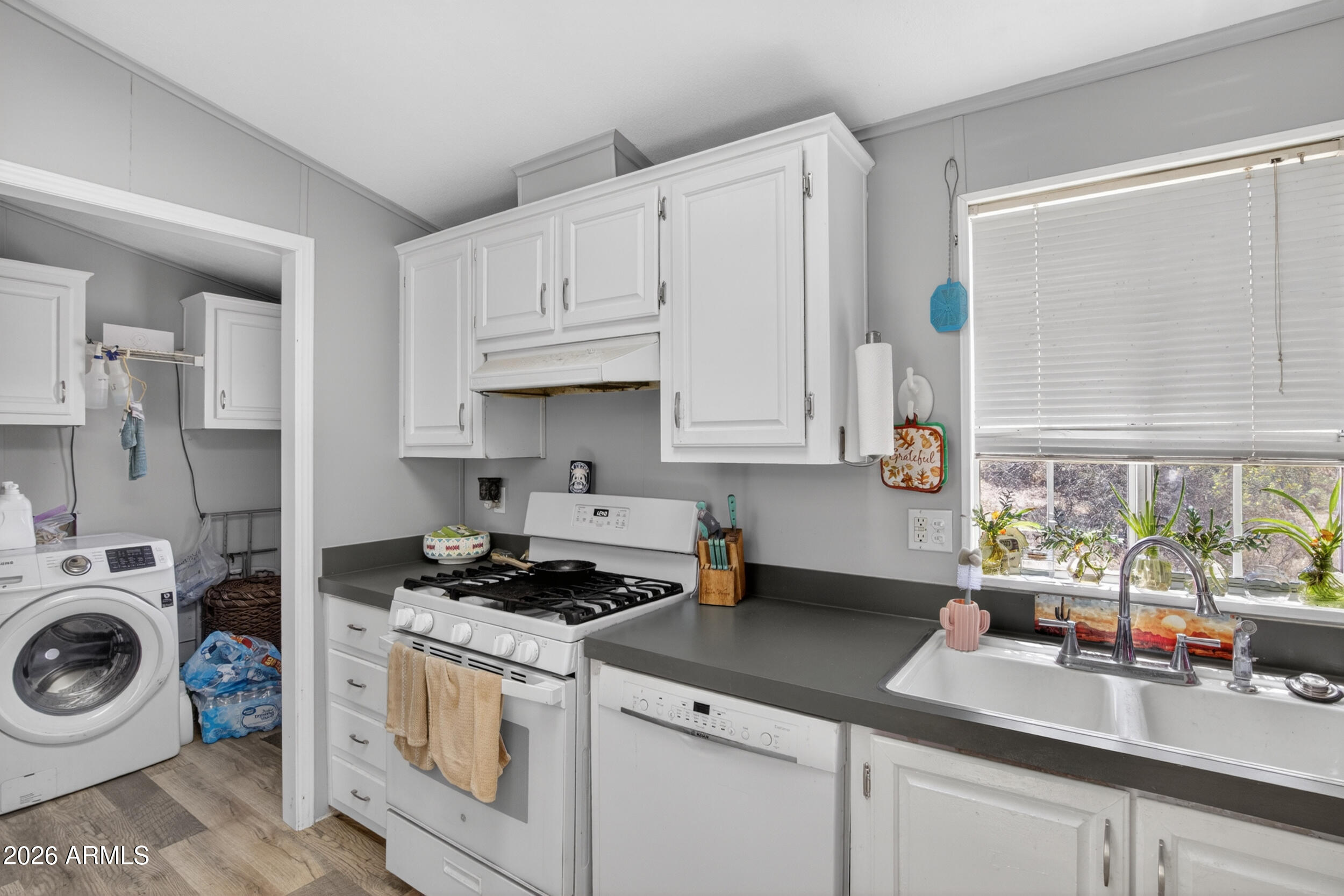 38809 E SPOTTED HORSE Trail