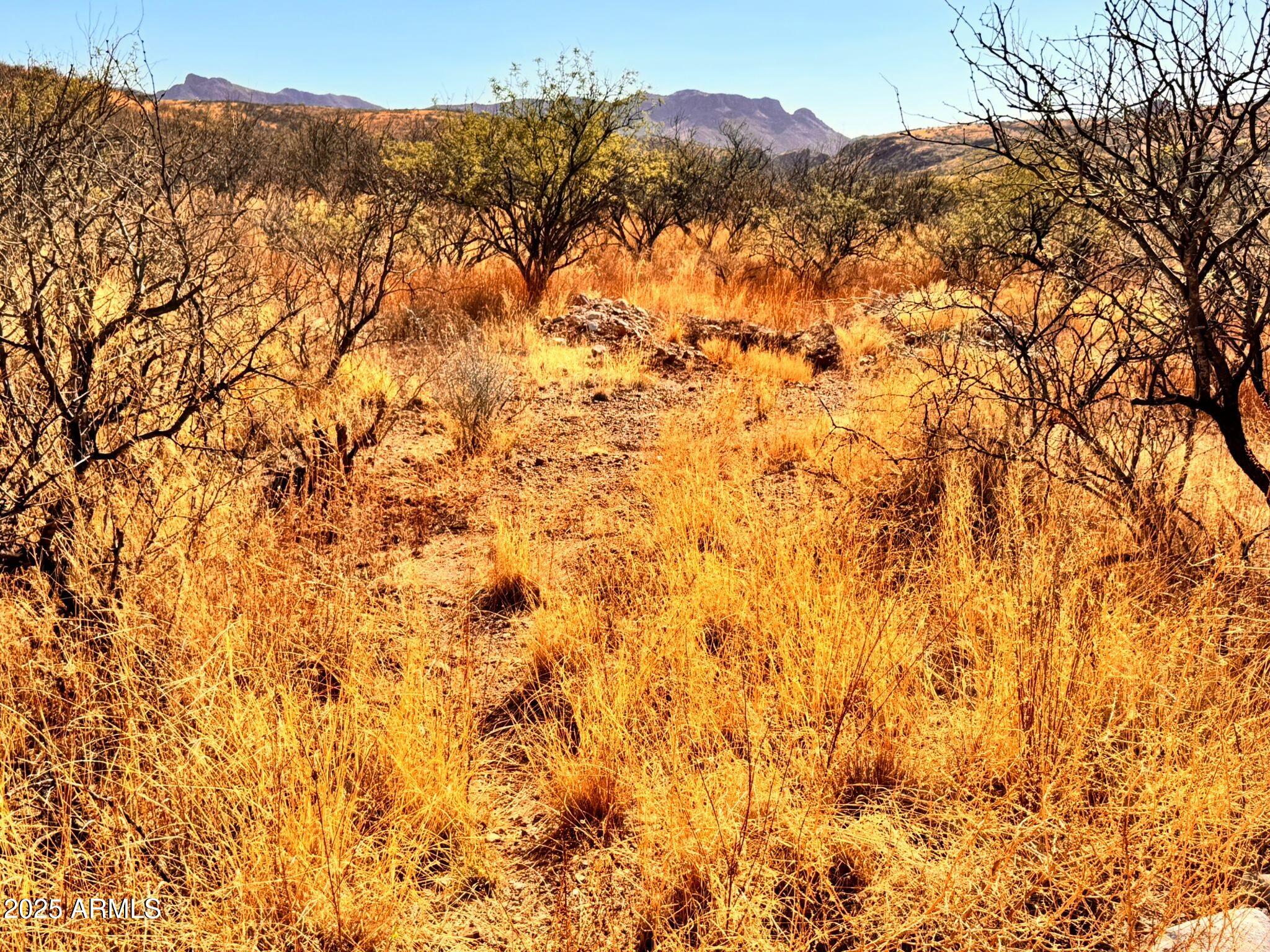 773 AVENIDA BEATRIZ -- 8