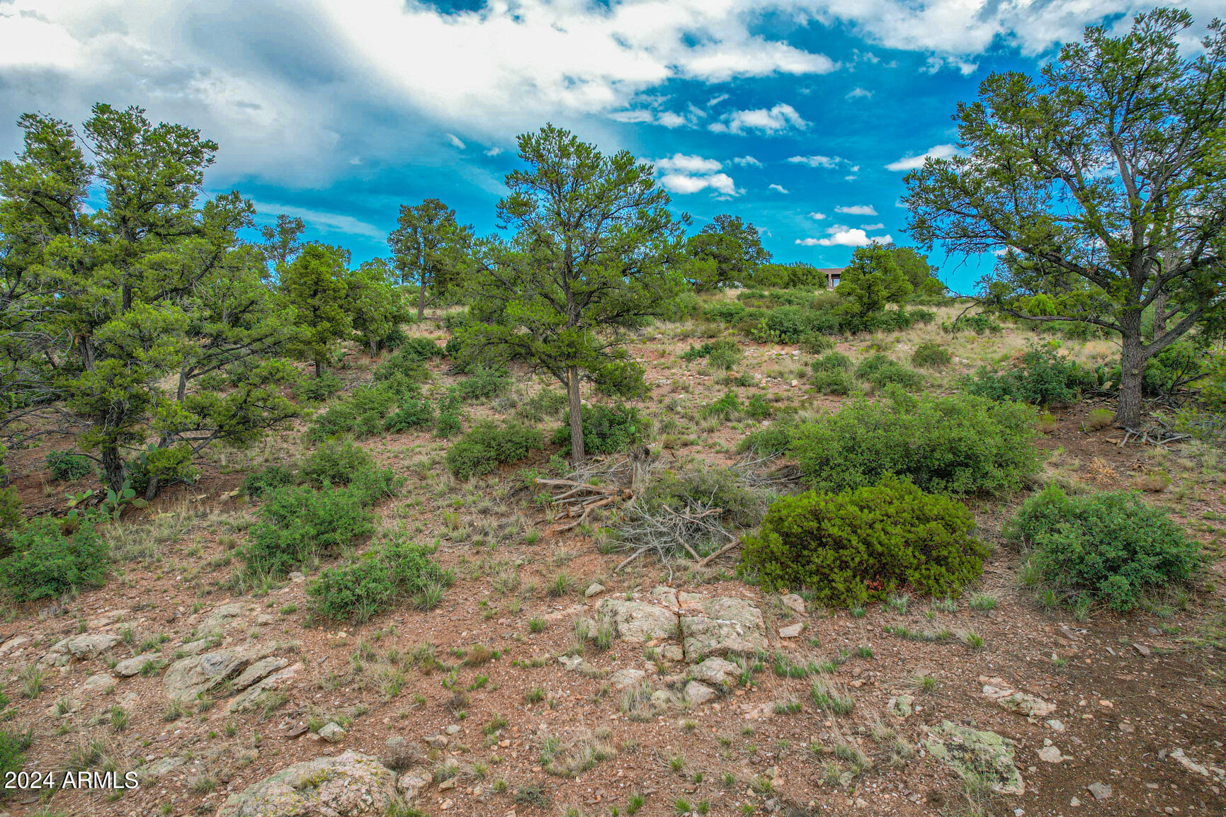 INSCRIPTION CANYON - Land