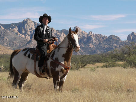 DRAGOON MOUNTAIN RANCH - Land