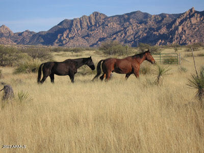 DRAGOON MOUNTAIN RANCH - Land